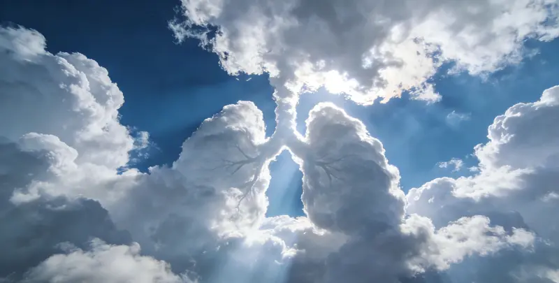 陇南肺癌8基因突变检测（组织）图片1