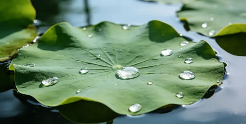 陇南乳腺癌21基因mRNA表达分析图片1